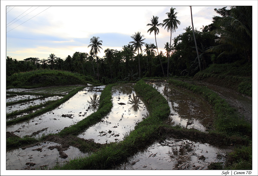 2012 - 07 - Siquijor - 34